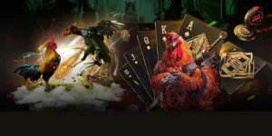 Hướng Dẫn Cách Chơi Đá Gà GA28 Tại DP568 Từ A Đến Z